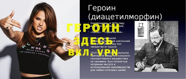 дживик Няндома
