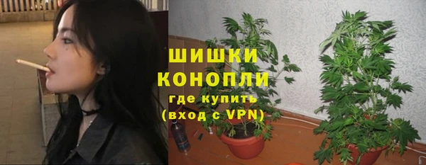 дживик Няндома