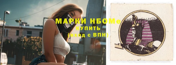 дживик Няндома