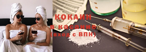 дживик Няндома