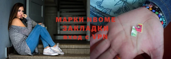 дживик Няндома