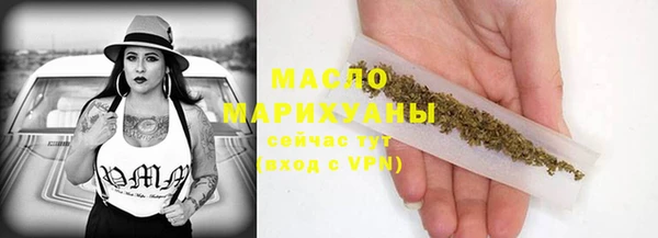 дживик Няндома
