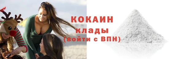 дживик Няндома