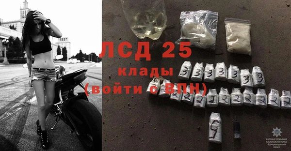дживик Няндома