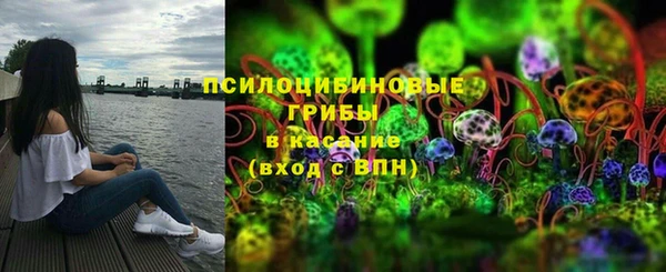 дживик Няндома