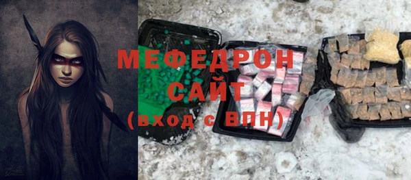 дживик Няндома