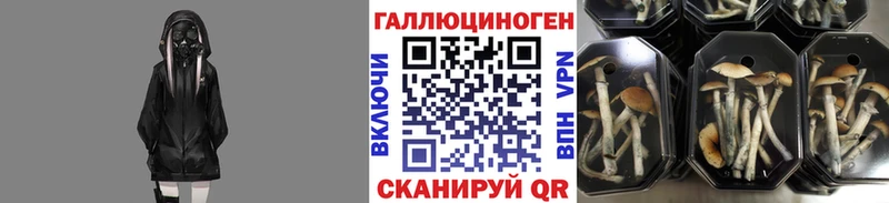 Псилоцибиновые грибы Psilocybine cubensis  Купить закладки  Яровое 